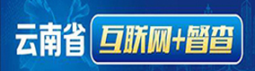 云南省互联网督查