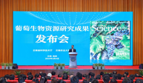 重大成果！云南农业大学葡萄生物资源研究成果发布