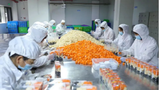 云南冷萃咖啡：技术入产业 咖啡香更远